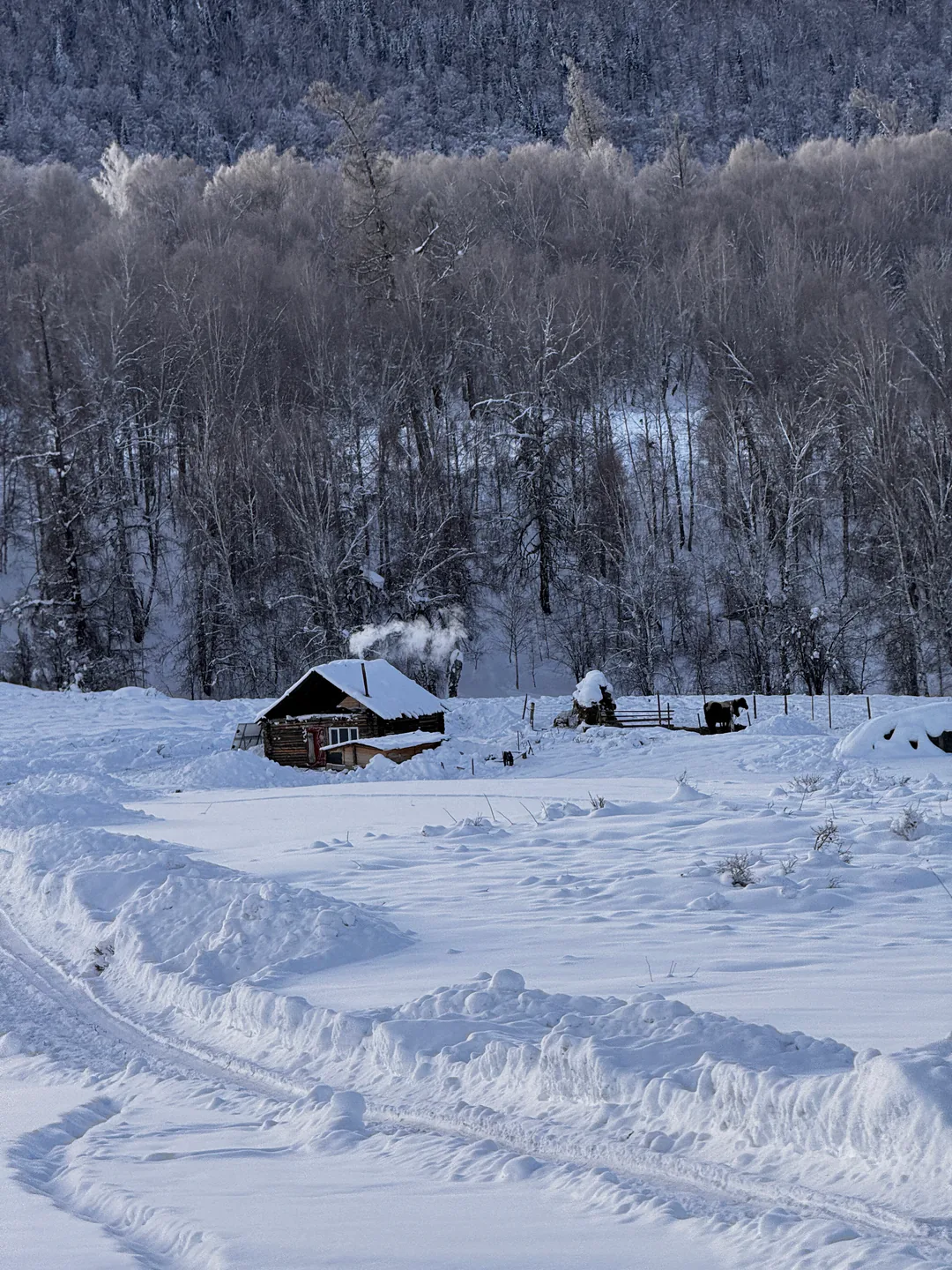 雪林与木屋构成的冬季目的地风景